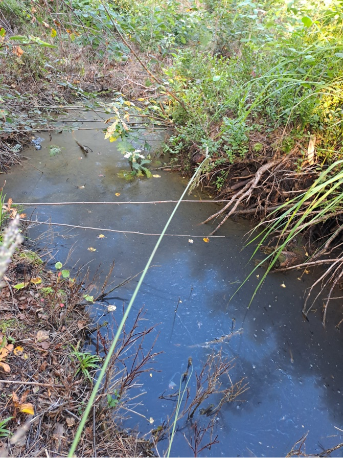 1. Septembris, 2025, Ezeru iela 44A